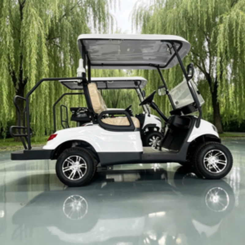 China Electric Golf Cart Lithi - огляд і ціна Golf Bag Stand Cart