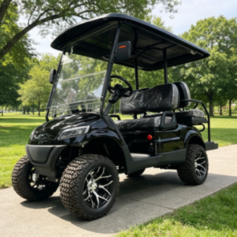 Golf Cart 2 Seater Electric Go - огляд і ціна Golf Bag Stand Cart