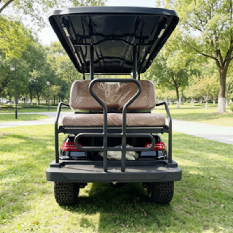 Golf Cart 2 Seater Electric Go - огляд і ціна Golf Bag Stand Cart