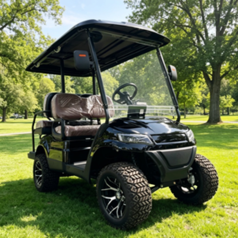 Street Legal Golf Cart Buggy S - огляд і ціна Golf Bag Stand Cart